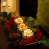 Twilight by Twinkle Mathew - Official Website