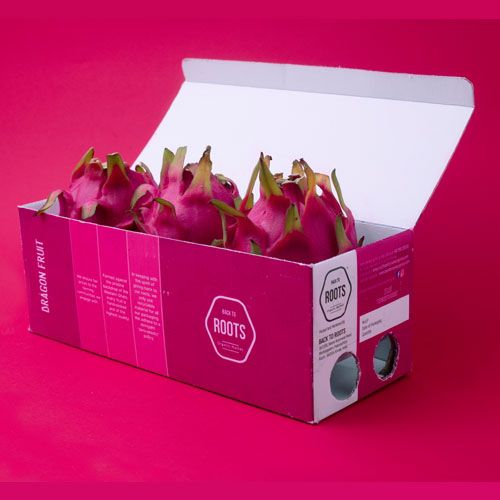 Dragon Fruit