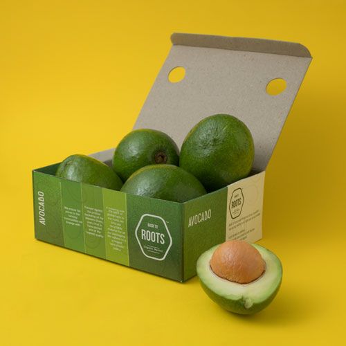 Avocado