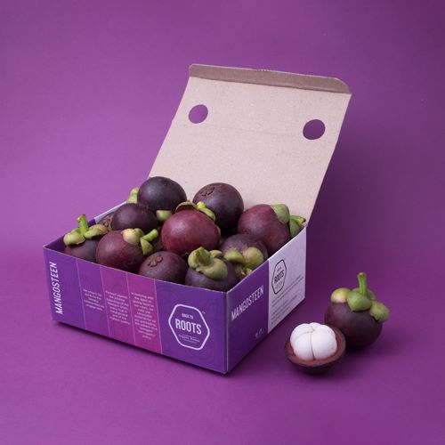 Mangosteen
